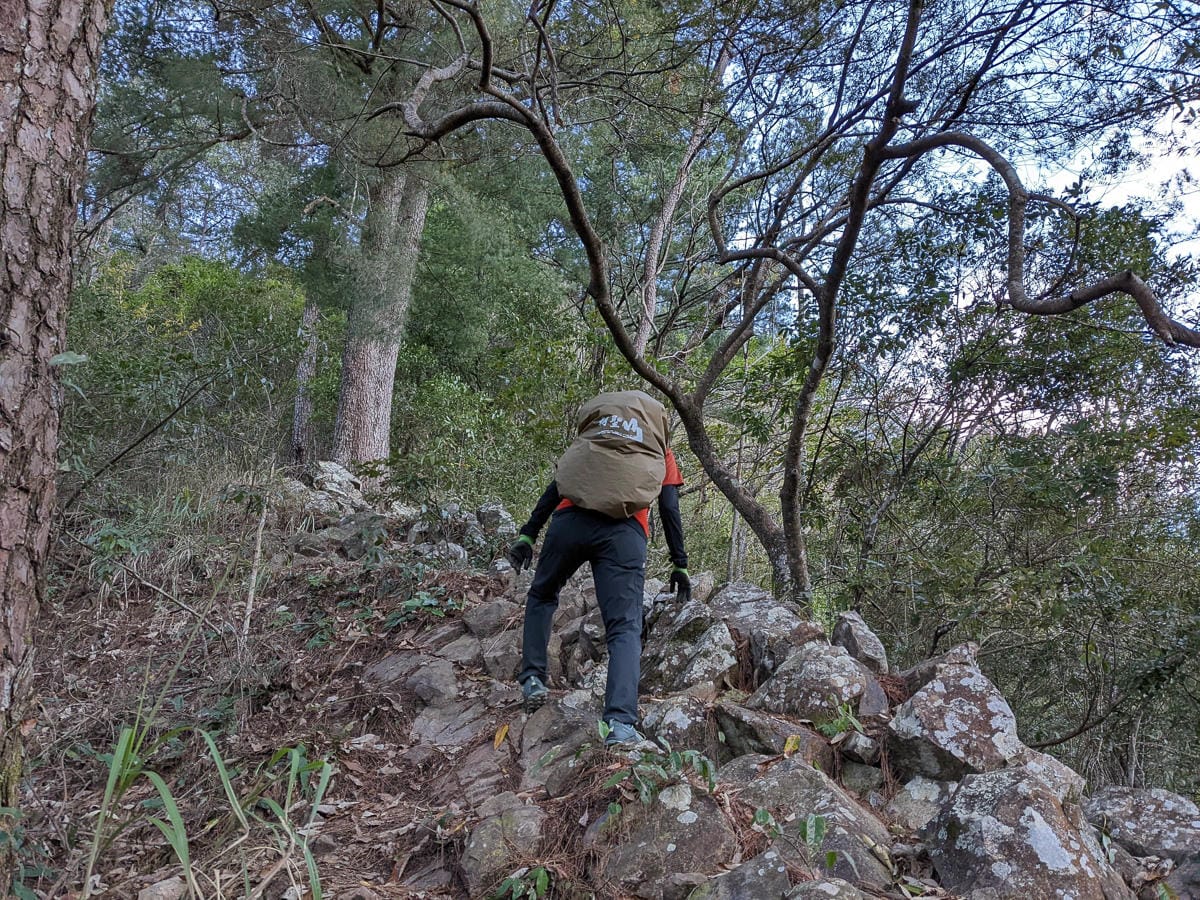 谷關七雄東卯山東南稜縱走德芙蘭|石瀑攀爬沒有極限 - 第3張圖 谷關七雄東卯山東南稜縱走德芙蘭|石瀑攀爬沒有極限