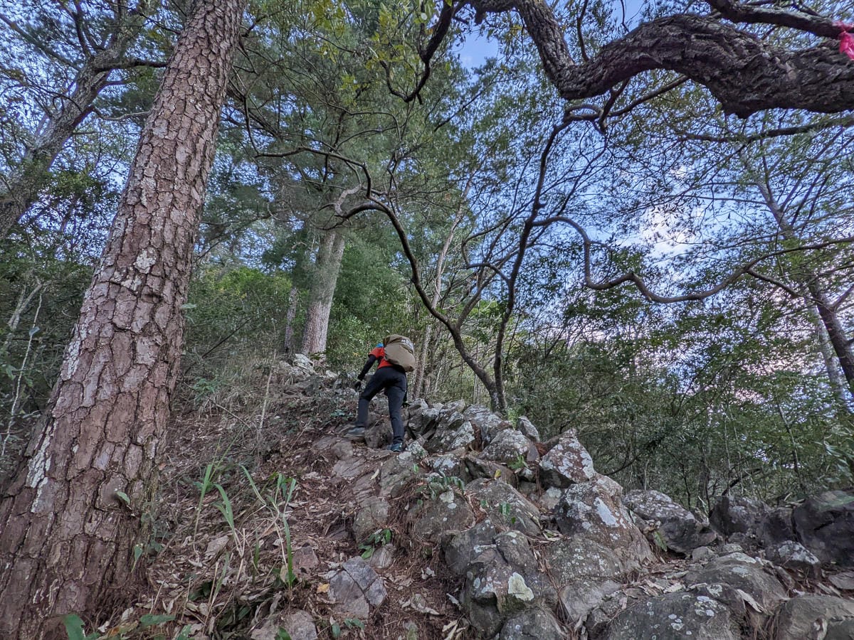 谷關七雄東卯山東南稜縱走德芙蘭｜石瀑攀爬沒有極限