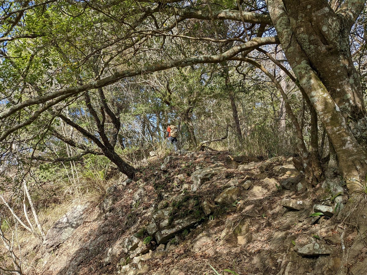 谷關七雄東卯山東南稜縱走德芙蘭｜石瀑攀爬沒有極限