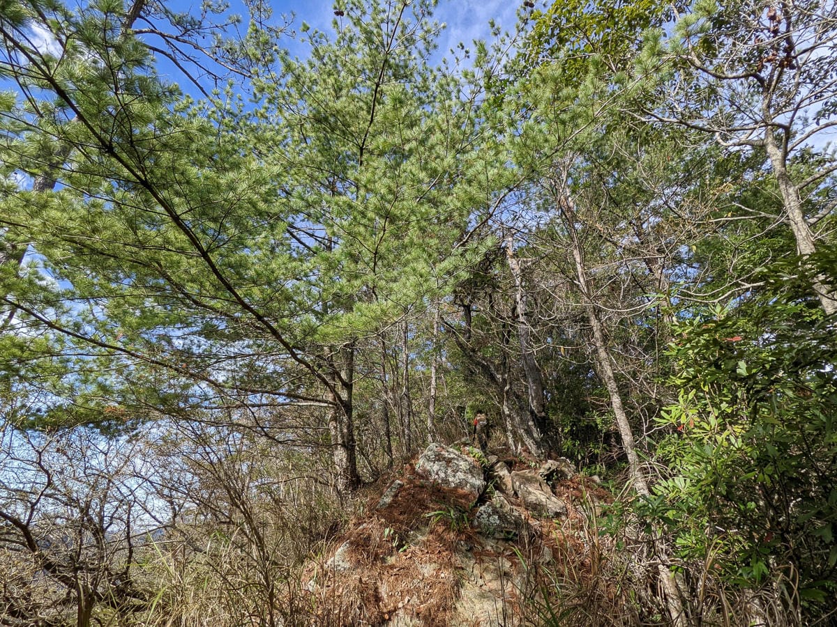 谷關七雄東卯山東南稜縱走德芙蘭｜石瀑攀爬沒有極限