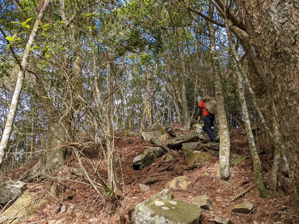 谷關七雄東卯山東南稜縱走德芙蘭｜石瀑攀爬沒有極限