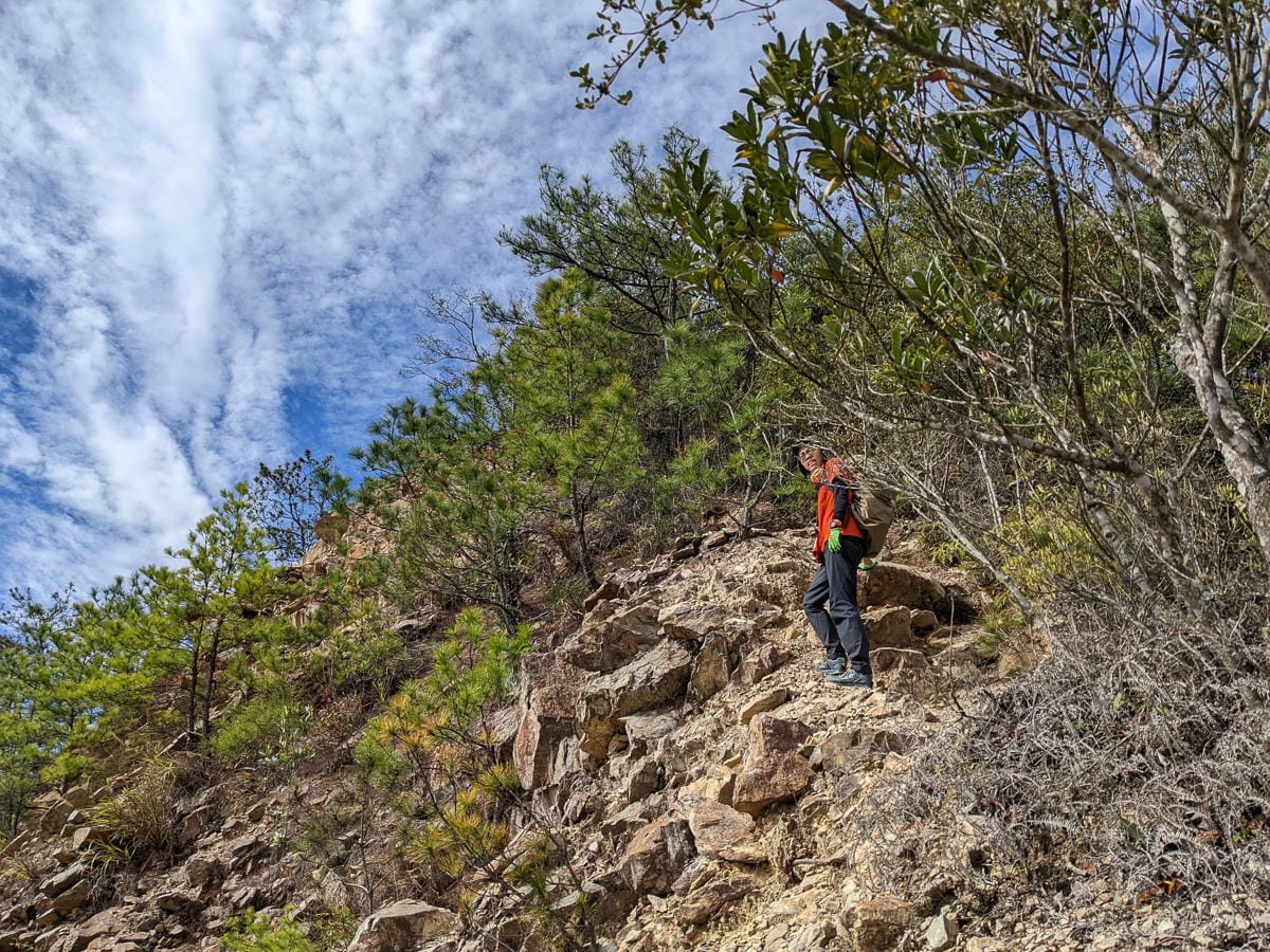 谷關七雄東卯山東南稜縱走德芙蘭|石瀑攀爬沒有極限 - 第28張圖 谷關七雄東卯山東南稜縱走德芙蘭|石瀑攀爬沒有極限