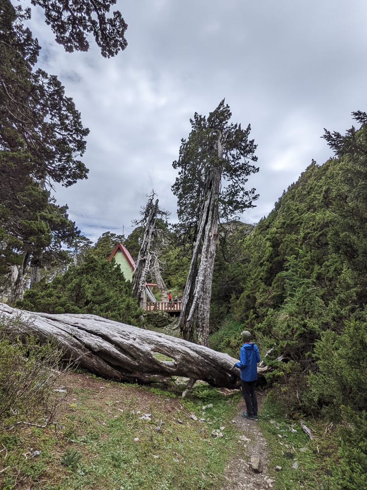 雪北山屋｜純粹黑與白童話小屋