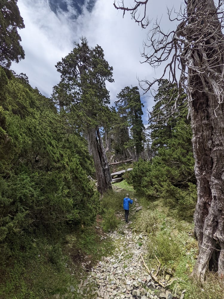 雪北山屋｜純粹黑與白童話小屋