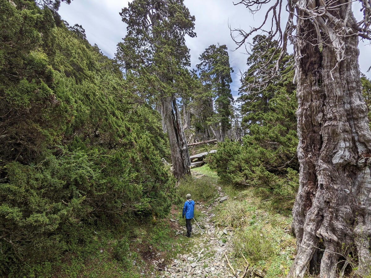 雪北山屋｜純粹黑與白童話小屋