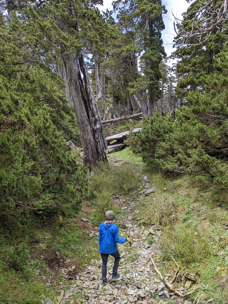 雪北山屋｜純粹黑與白童話小屋