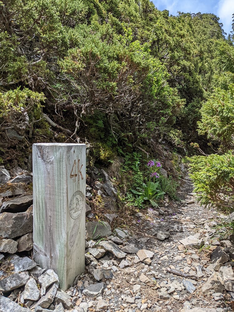 雪北山屋｜純粹黑與白童話小屋