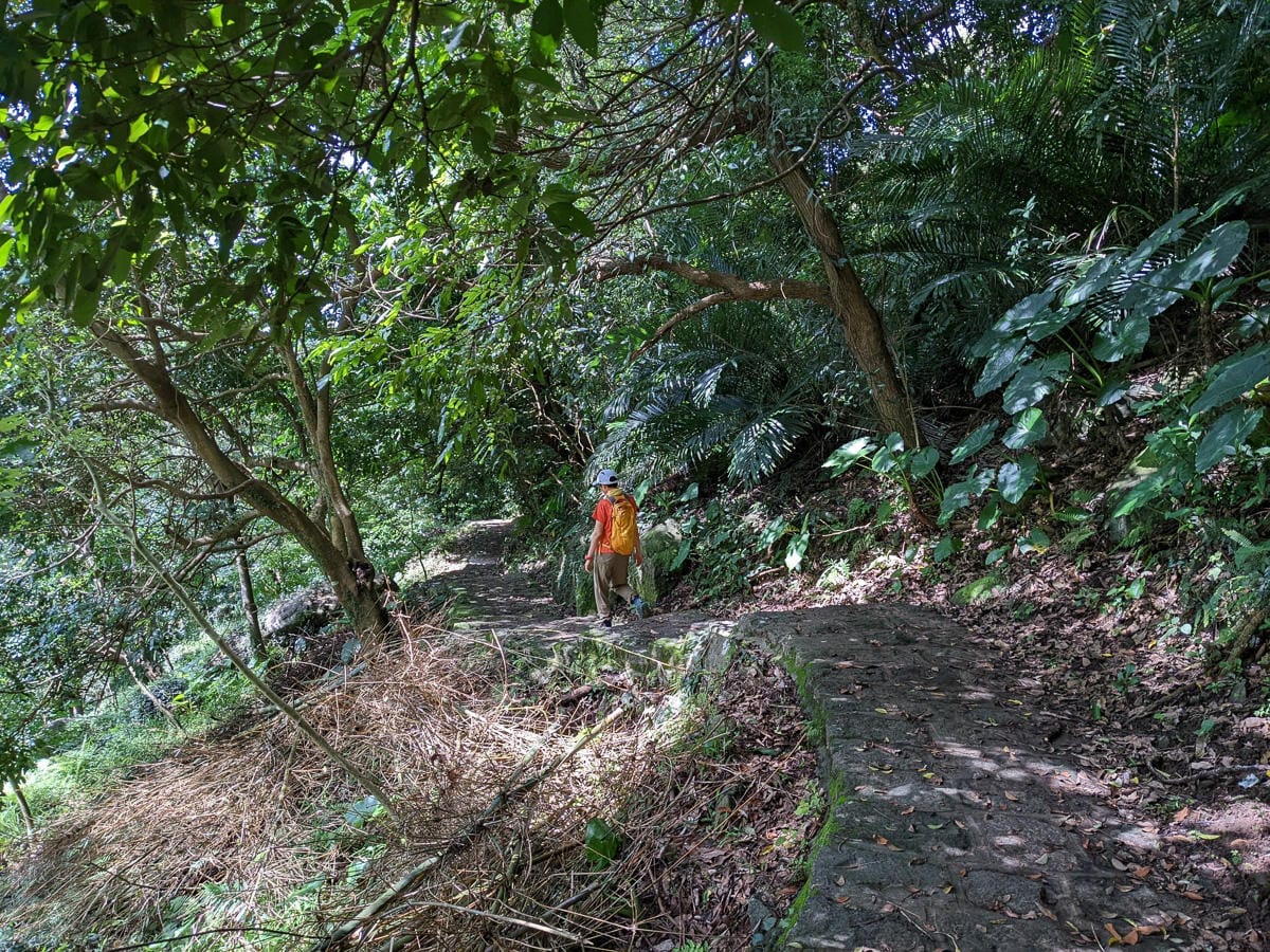台北大縱走第一段二子坪關渡11公里行