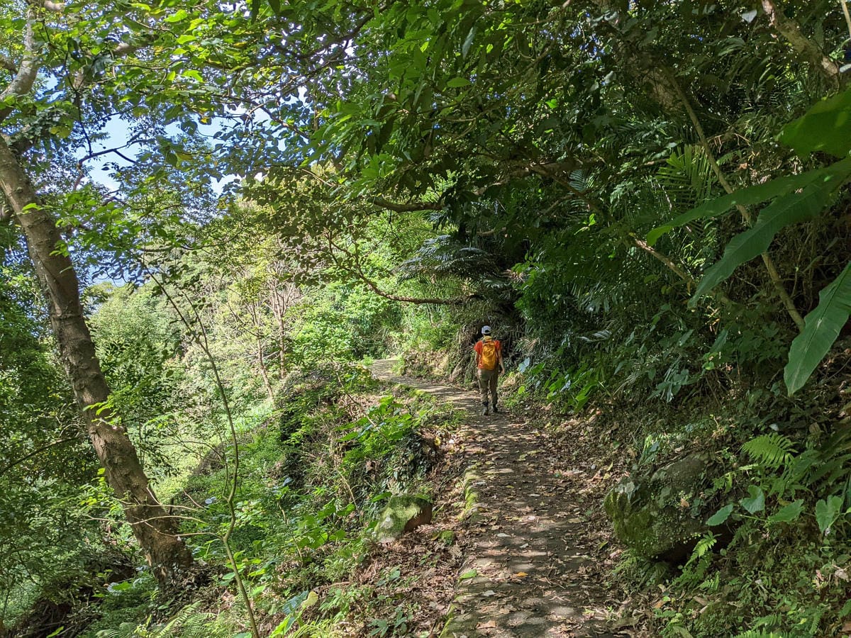 台北大縱走第一段二子坪關渡11公里行