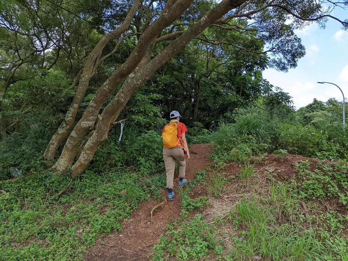 台北大縱走第一段二子坪關渡11公里行