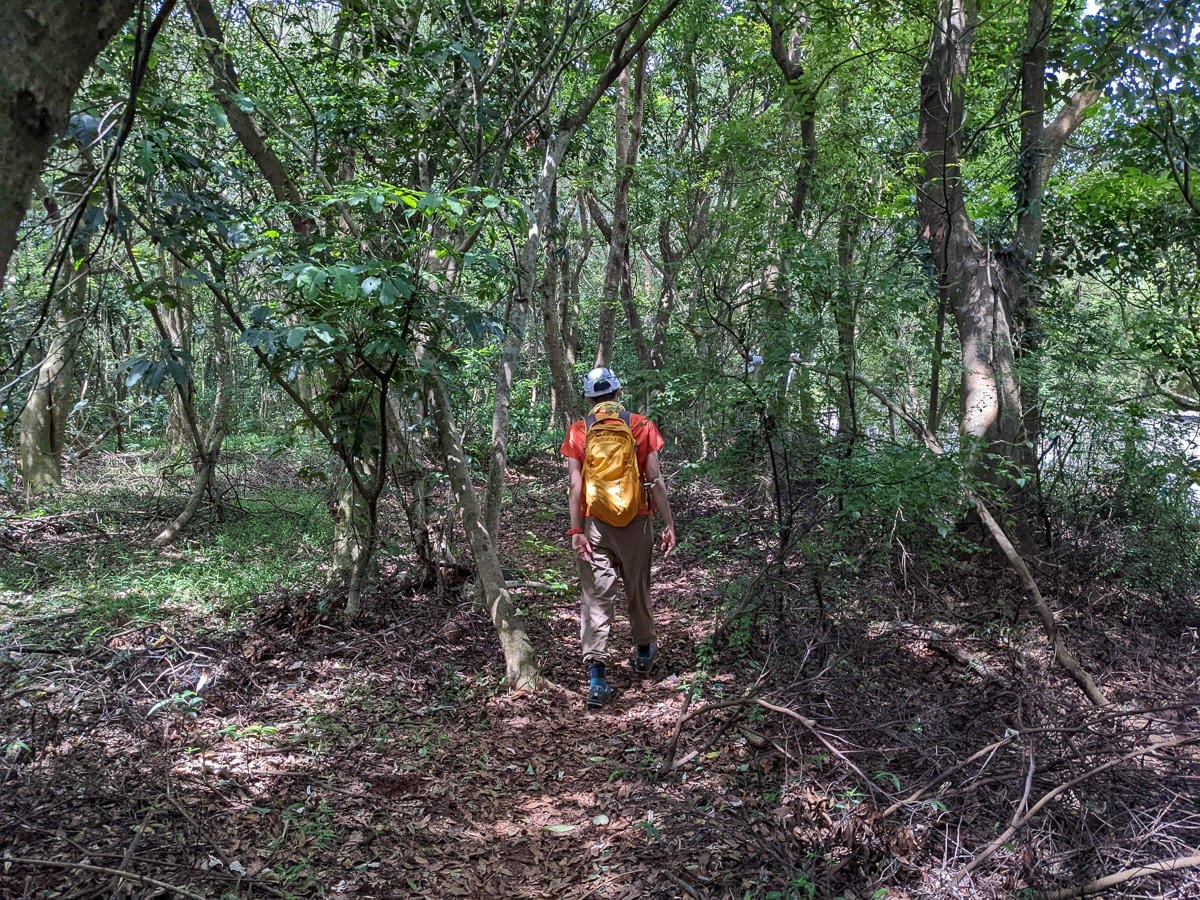 台北大縱走第一段二子坪關渡11公里行