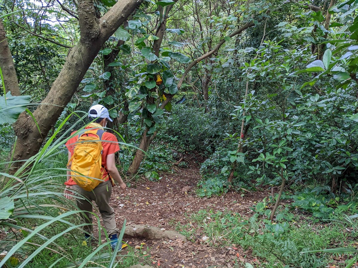 台北大縱走第一段二子坪關渡11公里行
