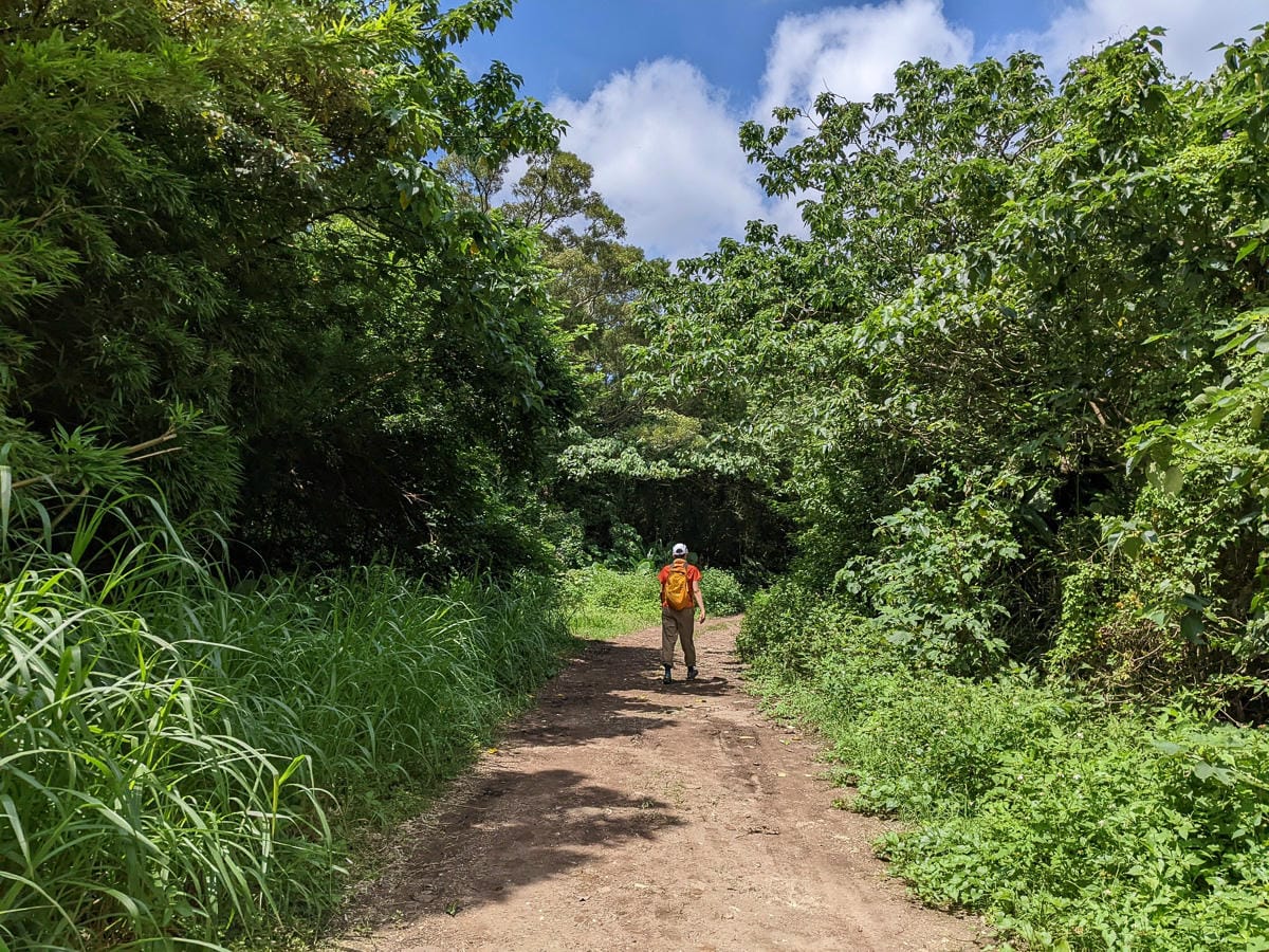 台北大縱走第一段二子坪關渡11公里行