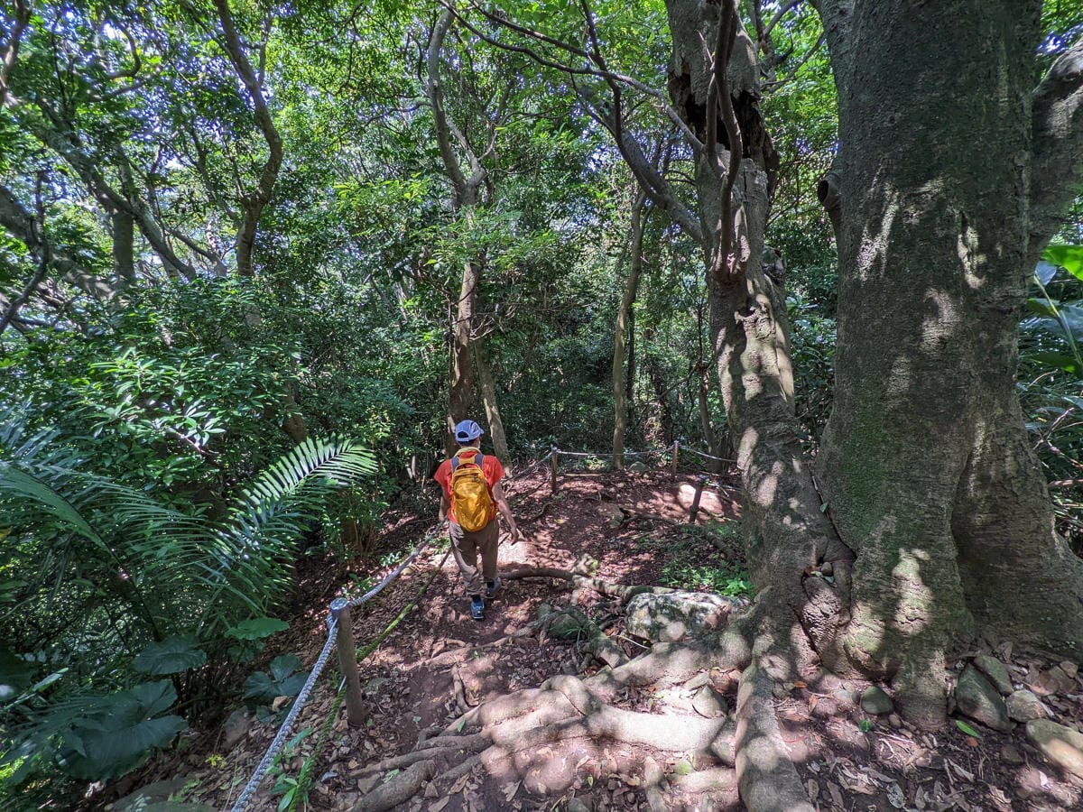 台北大縱走第一段二子坪關渡11公里行