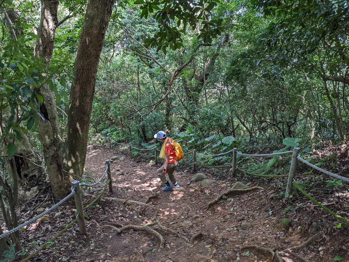 台北大縱走第一段二子坪關渡11公里行 - 第34張圖 台北大縱走第一段二子坪關渡11公里行
