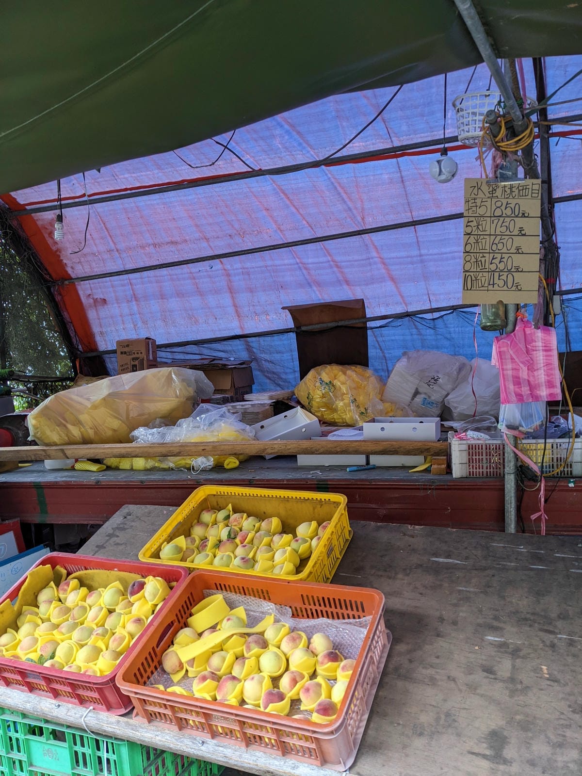 中橫四辣羊頭山住宿推薦｜慈恩隧道何家果園民宿