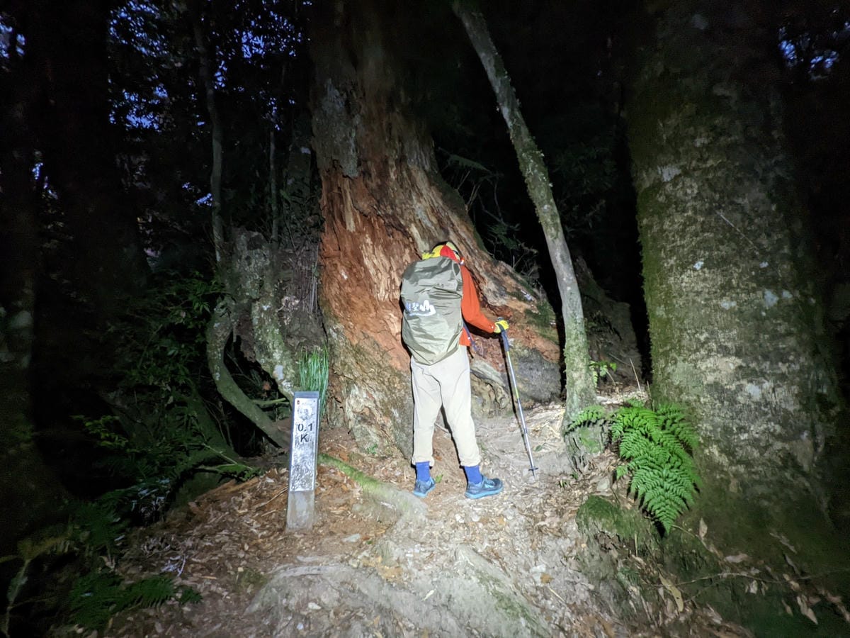 羊頭山中橫四辣不可小看的A級百岳