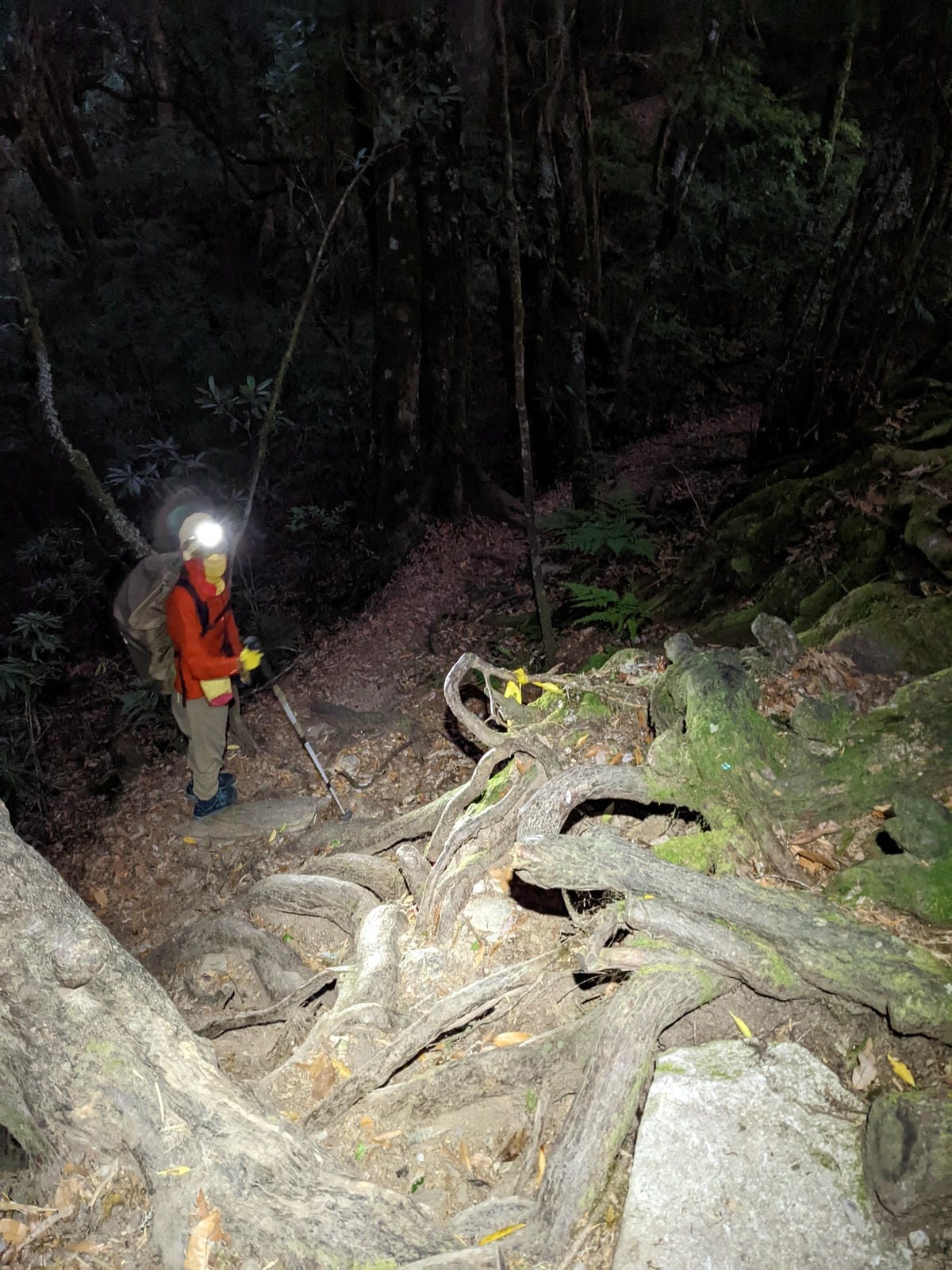 羊頭山中橫四辣不可小看的A級百岳