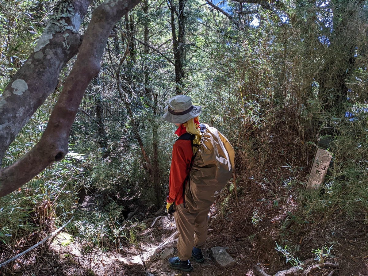 羊頭山中橫四辣不可小看的A級百岳