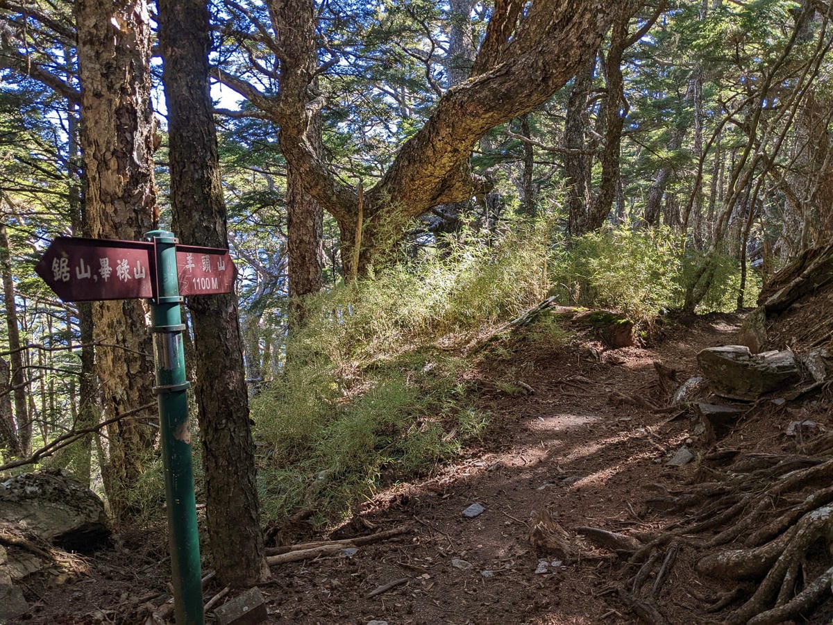 羊頭山中橫四辣不可小看的A級百岳