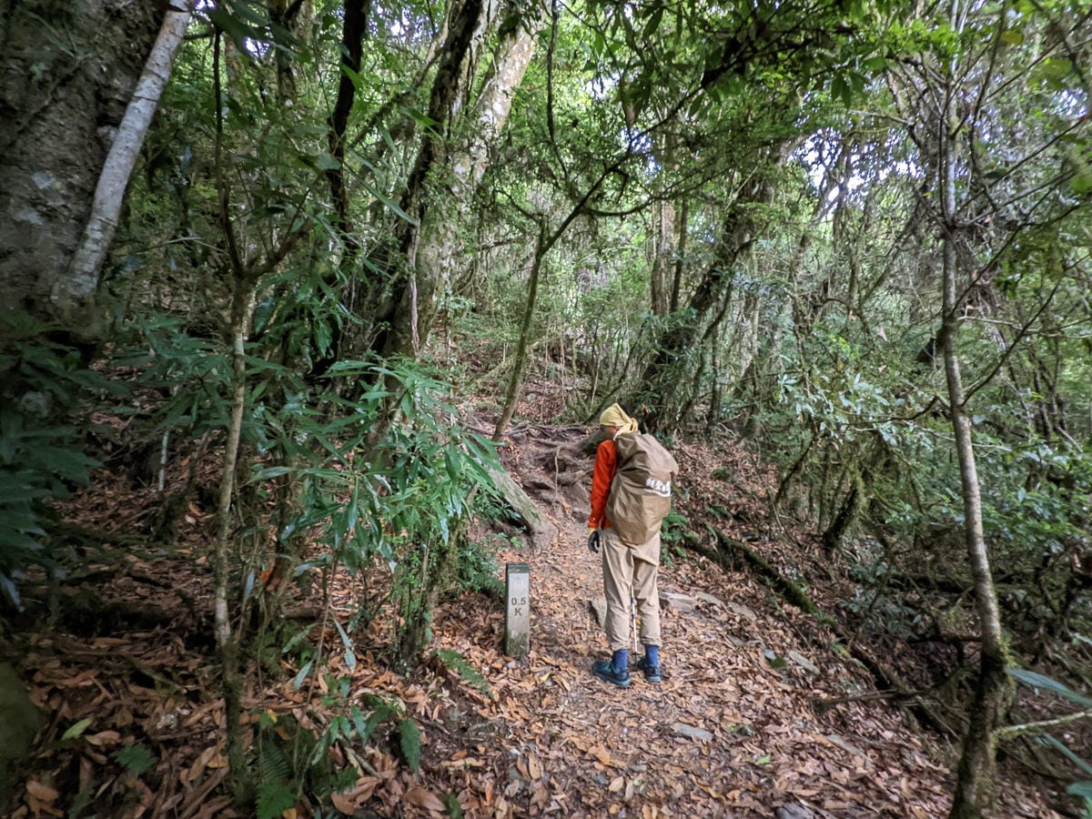 羊頭山中橫四辣不可小看的A級百岳