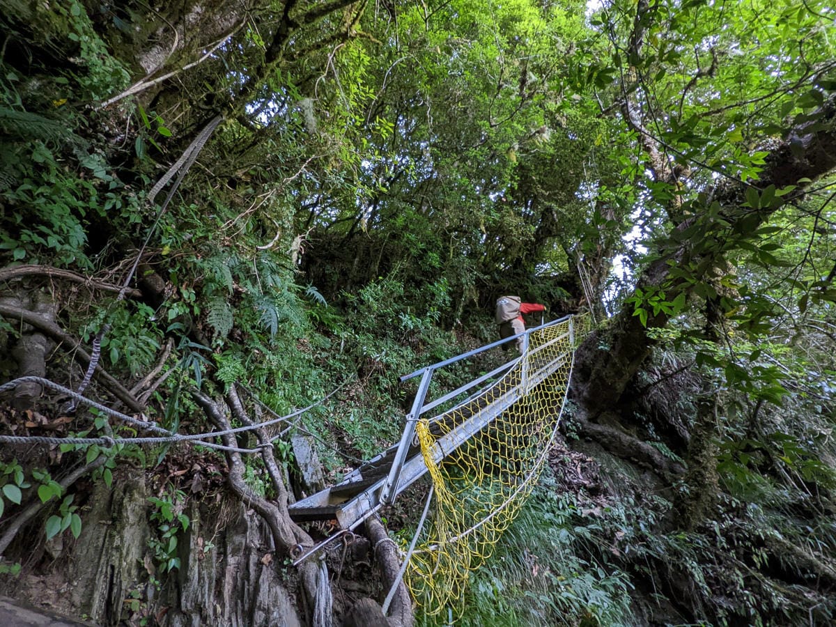 羊頭山中橫四辣不可小看的A級百岳
