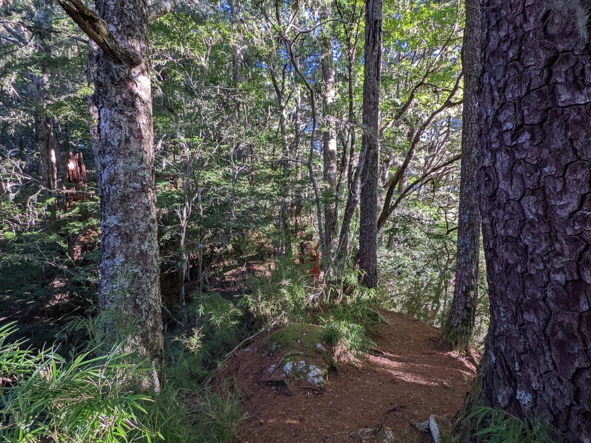 羊頭山中橫四辣不可小看的A級百岳