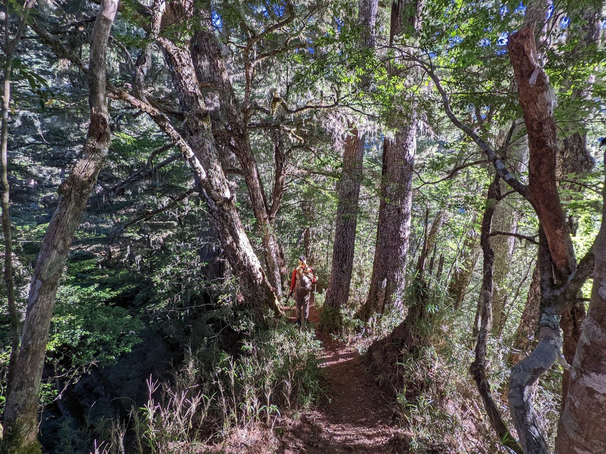 羊頭山中橫四辣不可小看的A級百岳