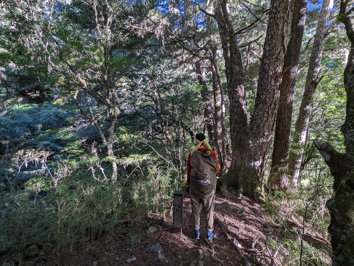 羊頭山中橫四辣不可小看的A級百岳