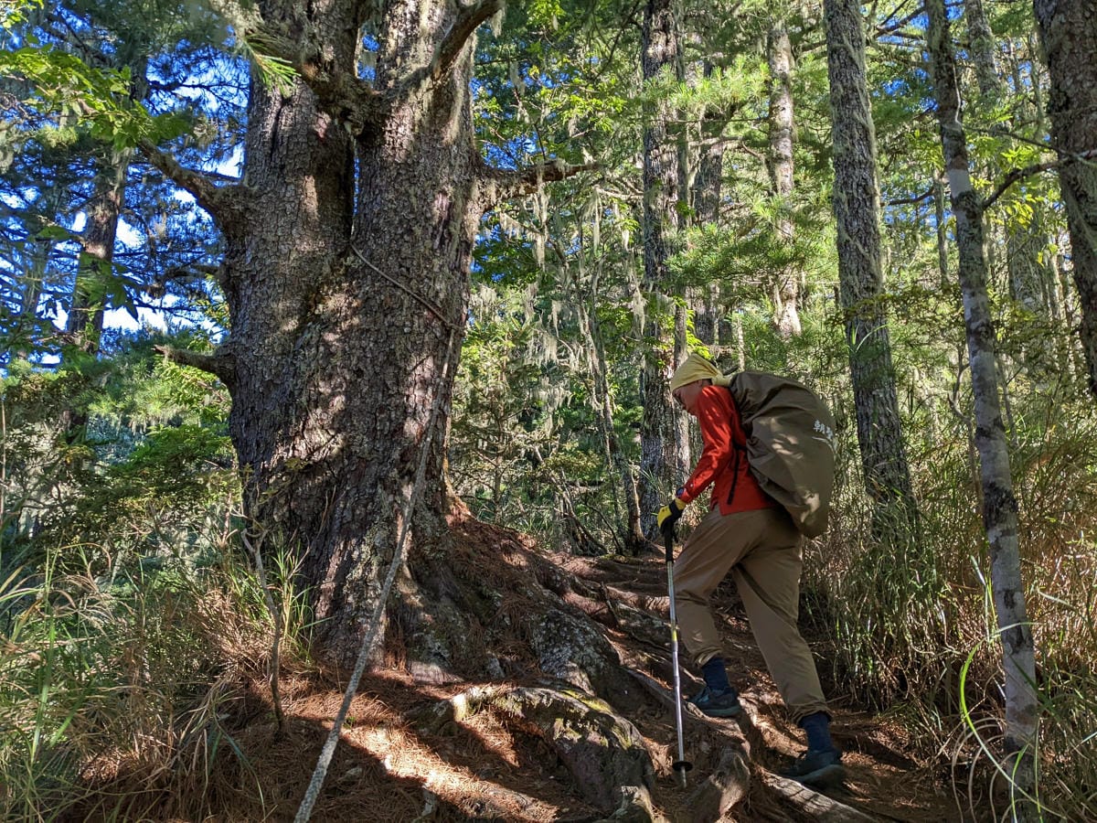 羊頭山中橫四辣不可小看的A級百岳