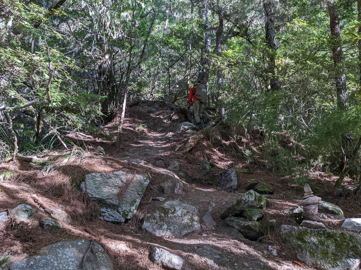 羊頭山中橫四辣不可小看的A級百岳