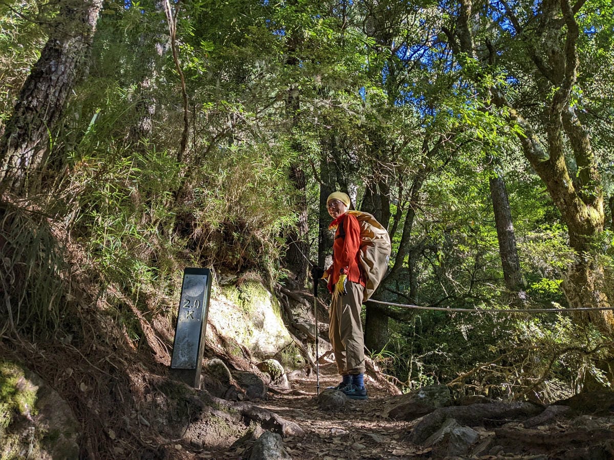 羊頭山中橫四辣不可小看的A級百岳