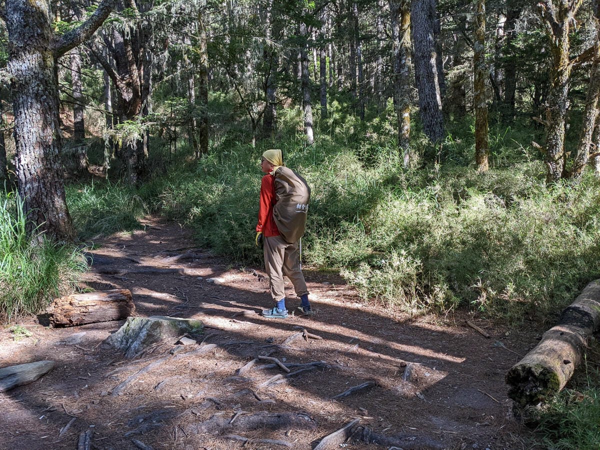 羊頭山中橫四辣不可小看的A級百岳