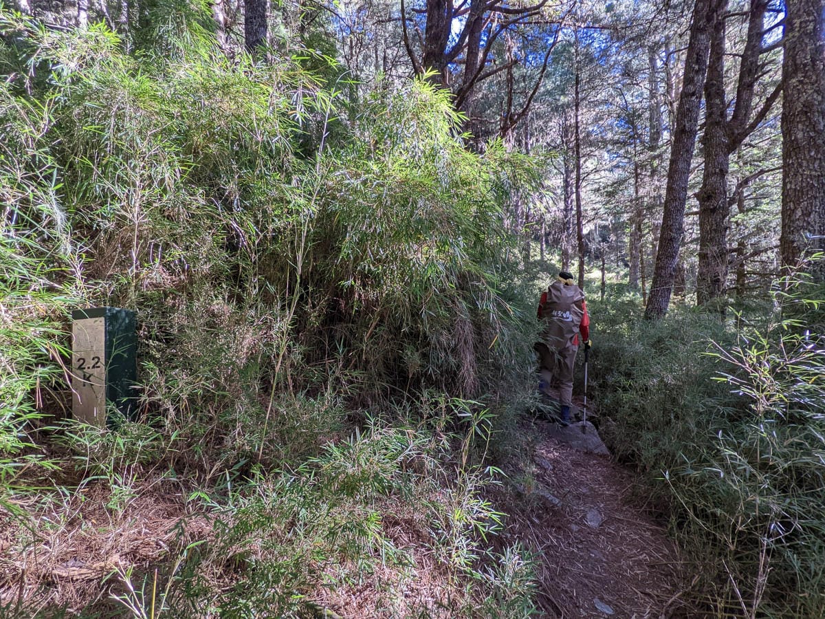 羊頭山中橫四辣不可小看的A級百岳