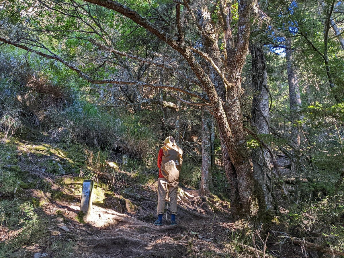 羊頭山中橫四辣不可小看的A級百岳