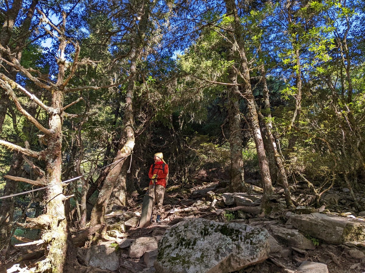 羊頭山中橫四辣不可小看的A級百岳