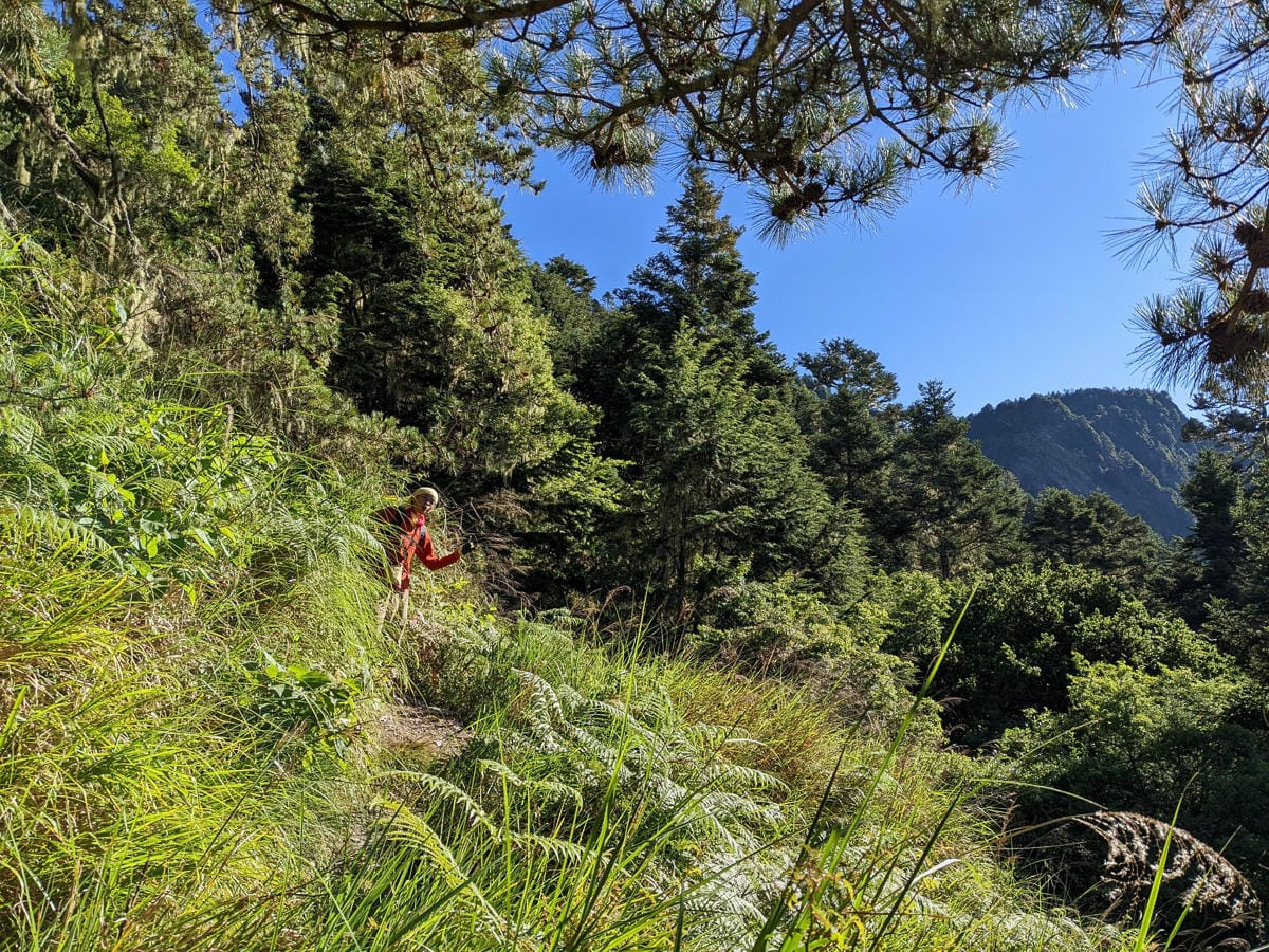 羊頭山中橫四辣不可小看的A級百岳