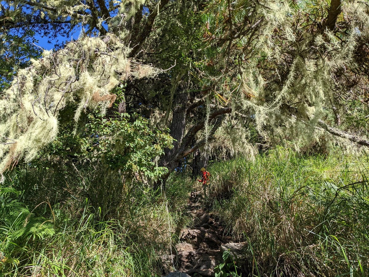 羊頭山中橫四辣不可小看的A級百岳