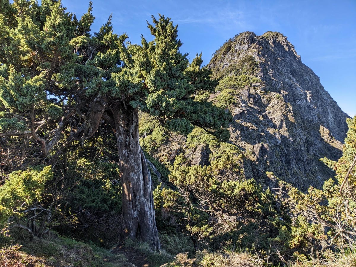 南橫開通,我看南橫百岳關山嶺山&塔關山的一切 - 第5張圖 南橫開通,我看南橫百岳關山嶺山&塔關山的一切