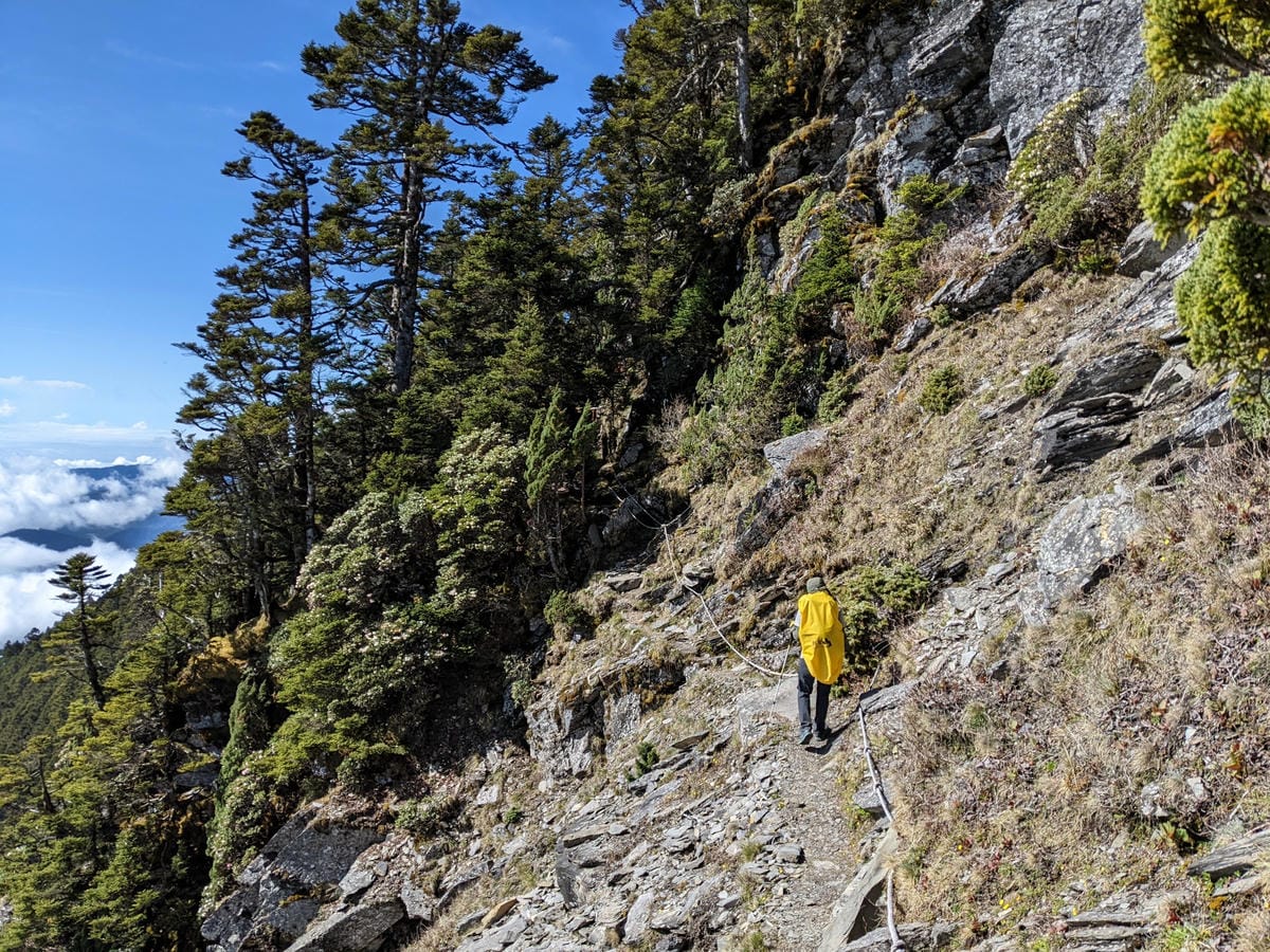 南橫開通,我看南橫百岳關山嶺山&塔關山的一切 - 第6張圖 南橫開通,我看南橫百岳關山嶺山&塔關山的一切
