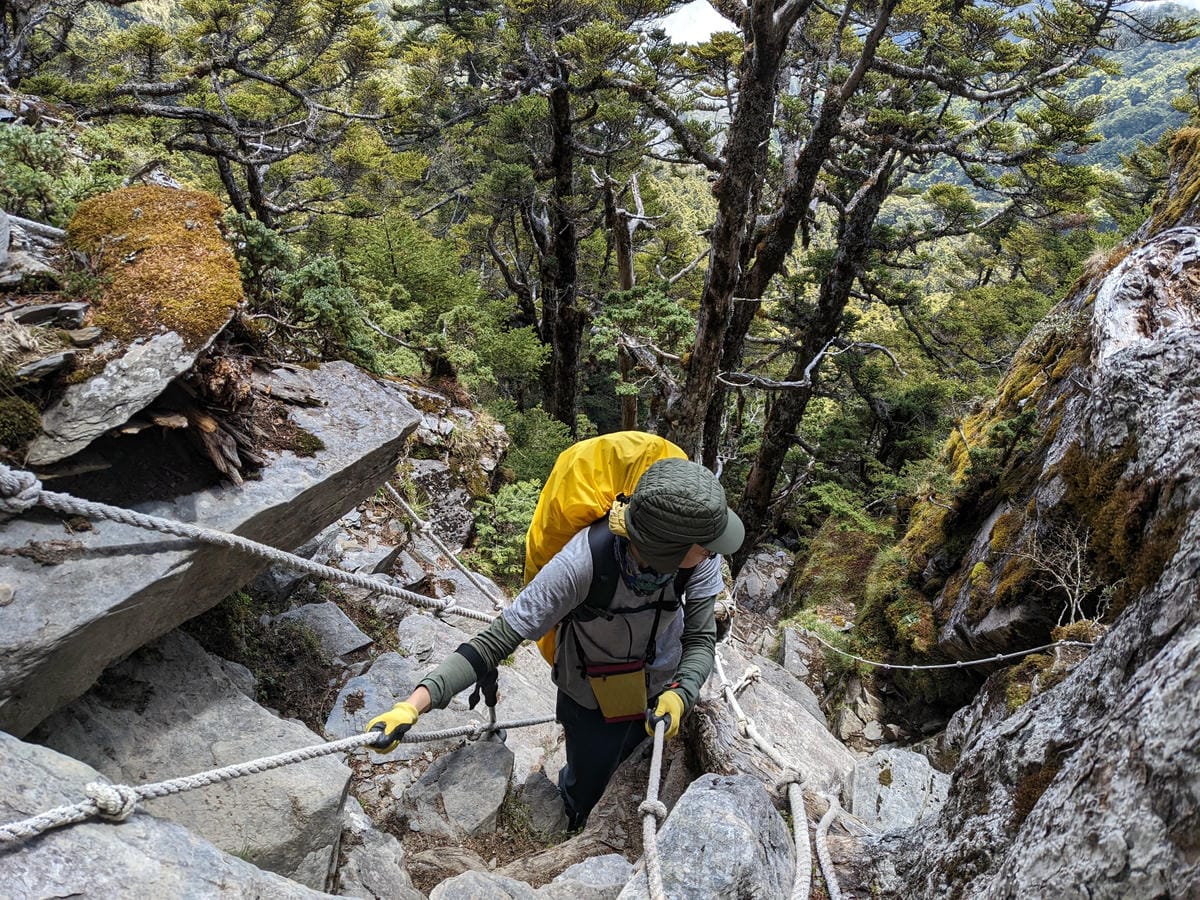 南橫開通，我看南橫百岳關山嶺山&塔關山的一切