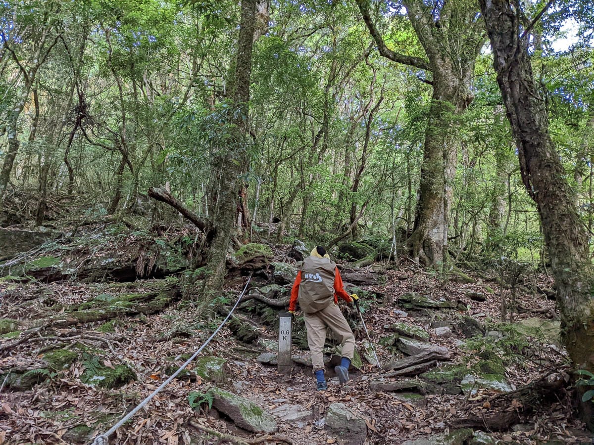 日系輕量化代表Yamatomichi適合台灣氣候地形? - 第3張圖 日系輕量化代表Yamatomichi適合台灣氣候地形?