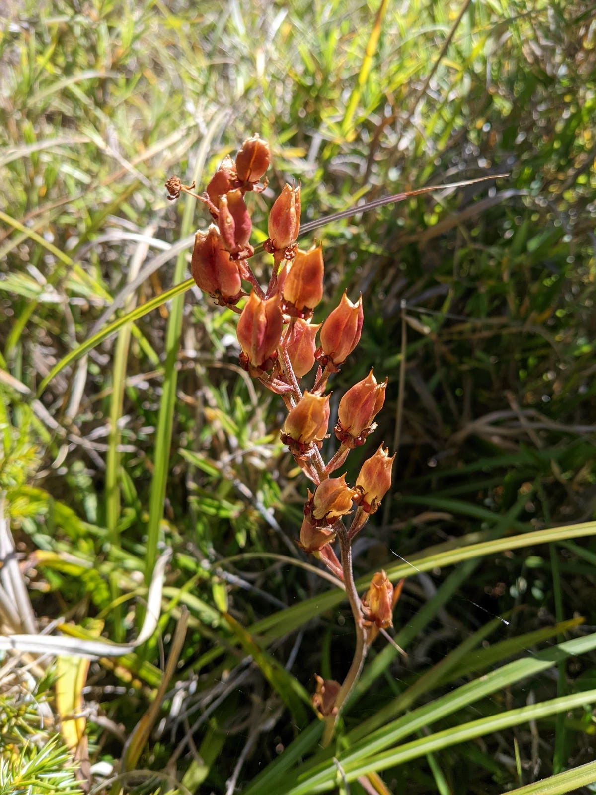 新雲稜山屋有水塔｜北一段南湖大山必經之地