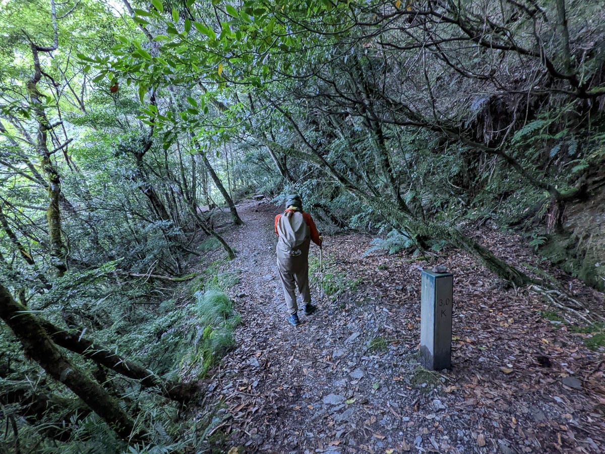 中橫四辣畢祿山 練的是心志練的是腿