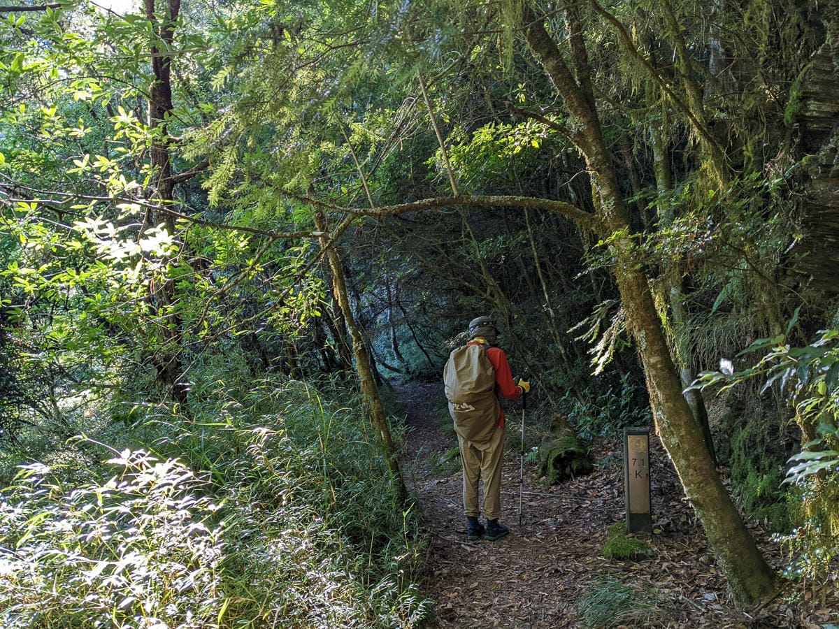 中橫四辣畢祿山 練的是心志練的是腿