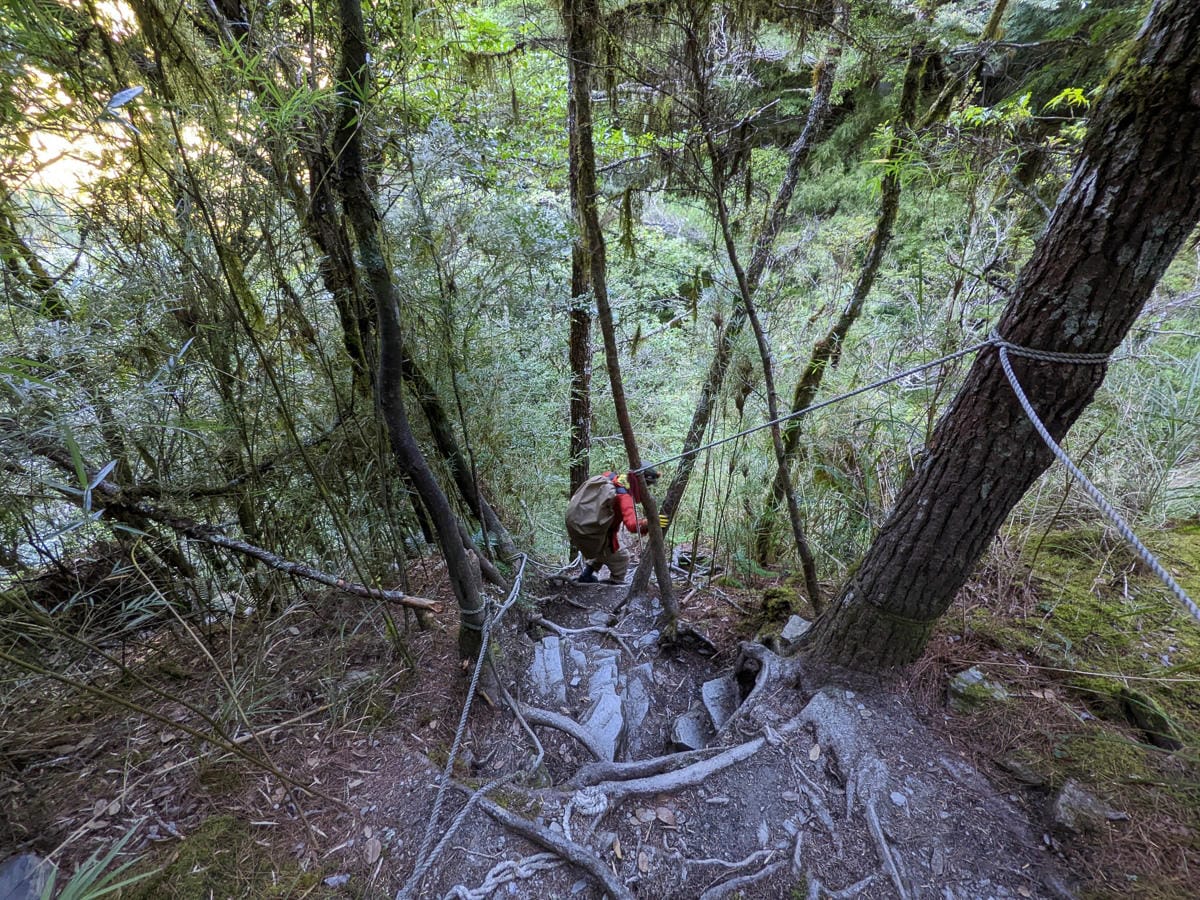 中橫四辣畢祿山 練的是心志練的是腿