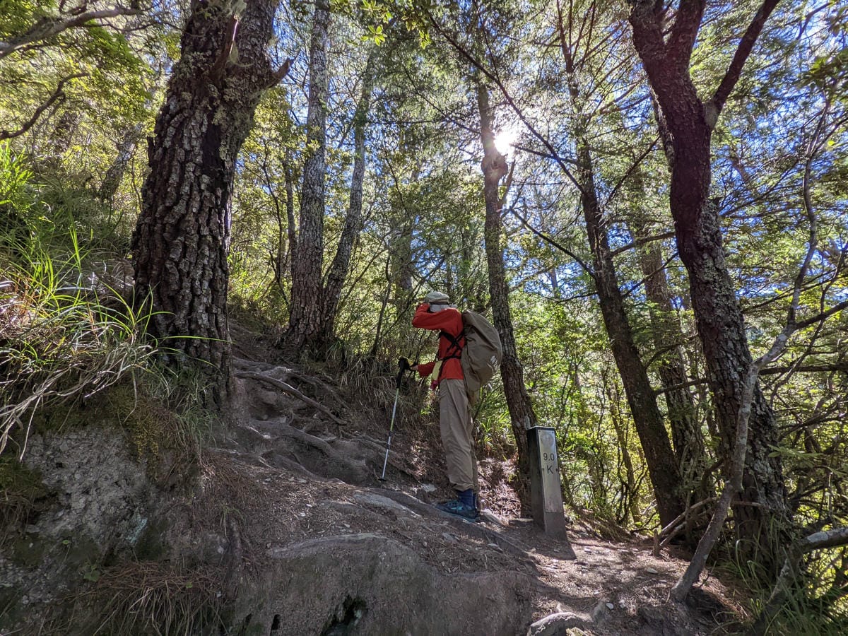 中橫四辣畢祿山 練的是心志練的是腿