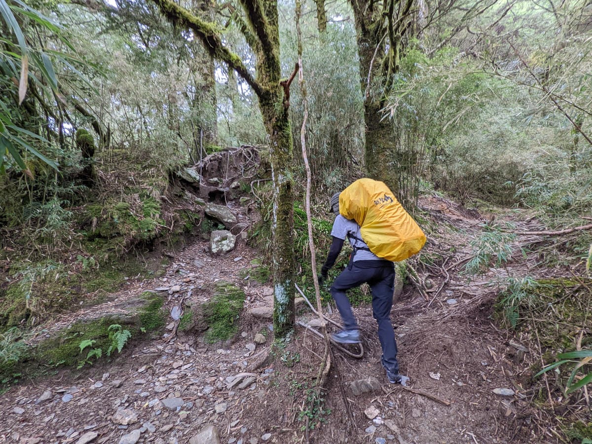 走進奇萊主北 奇萊稜線百岳黑色奇萊面紗不是蓋的