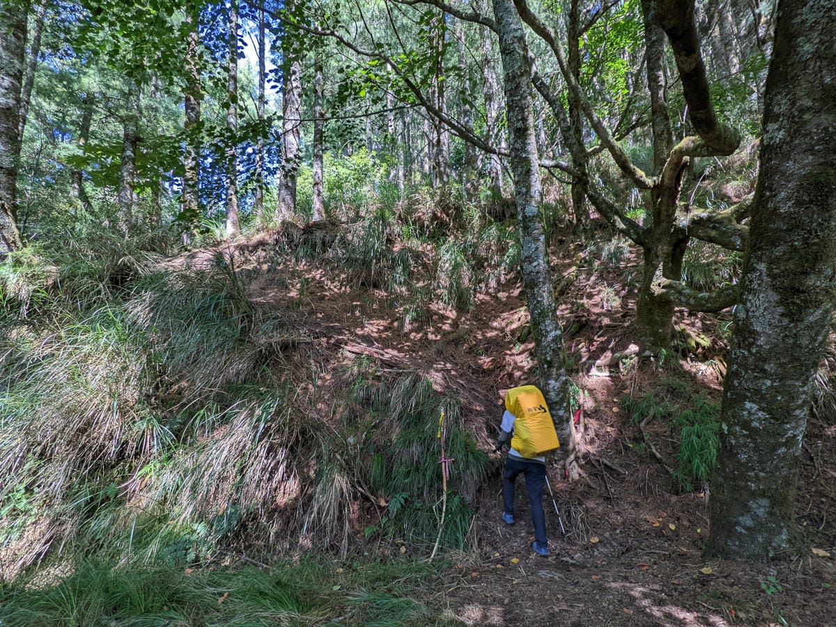 南湖大山難度行程記錄｜百岳帝王之山｜出發