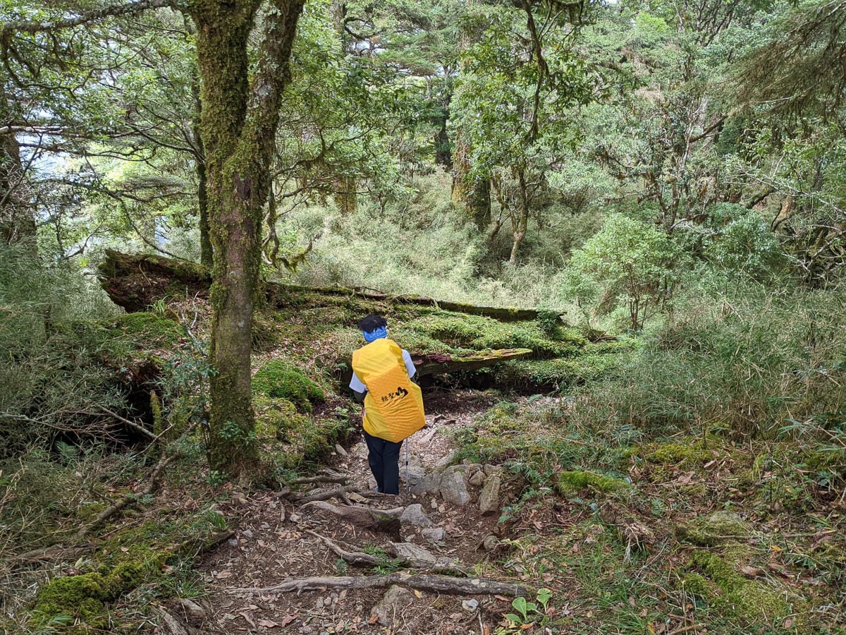 南湖大山難度行程記錄｜百岳帝王之山｜出發